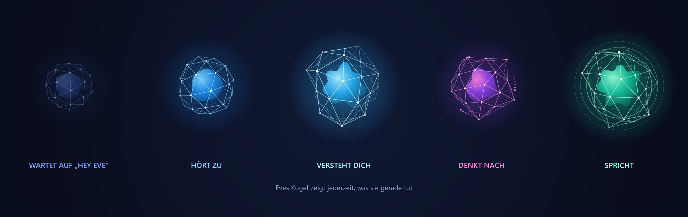 Eves Kugel in fünf Zuständen: wartet, hört zu, versteht, denkt nach, spricht